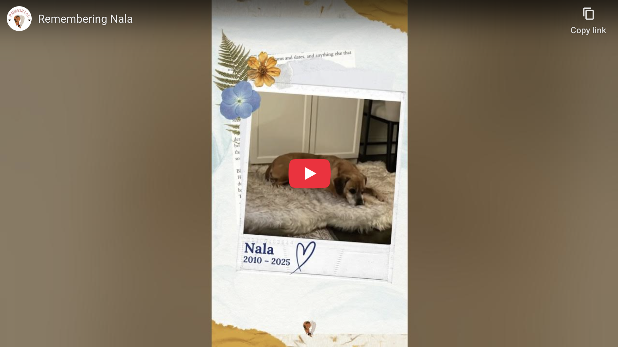 Remembering Nala